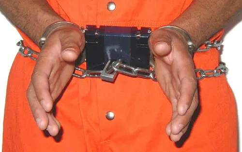 Shackled in transport
